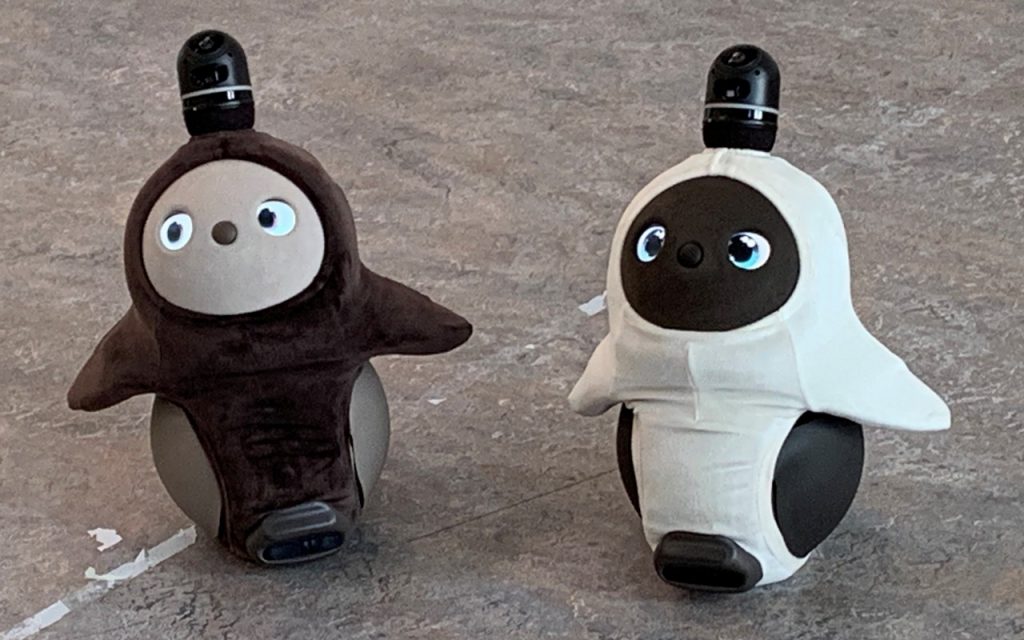 The social robot LOVOT has a media darling JD TeleTech